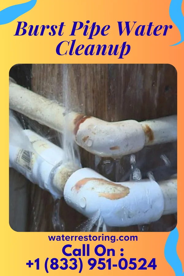 Burst Pipe Water Cleanup in Twinsburg, OH