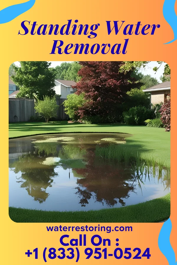 Standing Water Removal in Twinsburg, OH